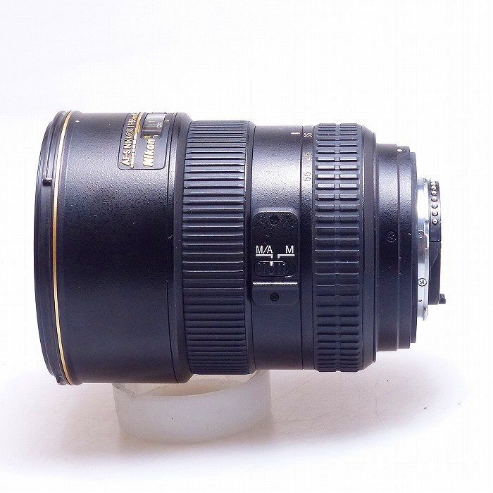 ニコン Nikon AF-S DX 17-55|2.8G IF-ED