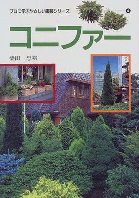 コニファ- (プロに学ぶやさしい園芸シリーズ 4) 柴田 忠裕