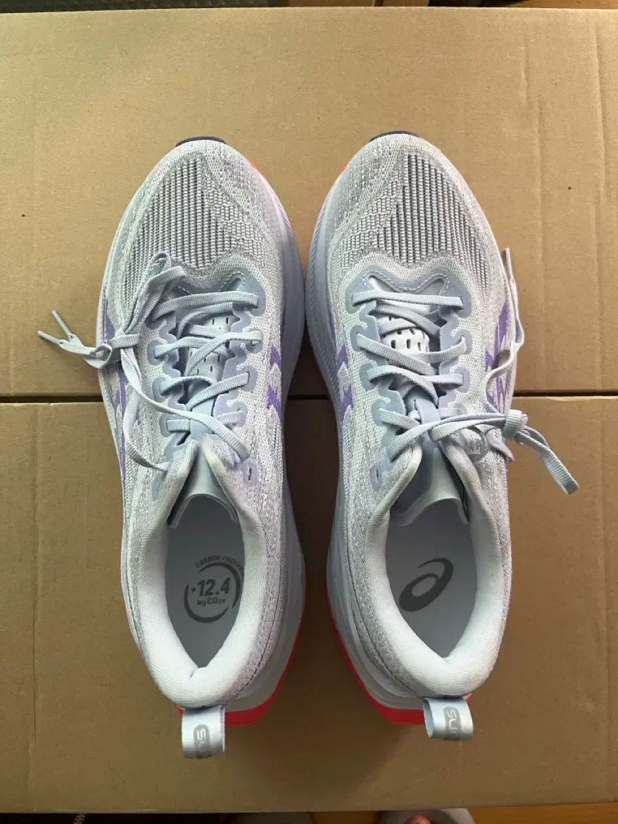 Asics アシックス スーパーブラスト 2 260