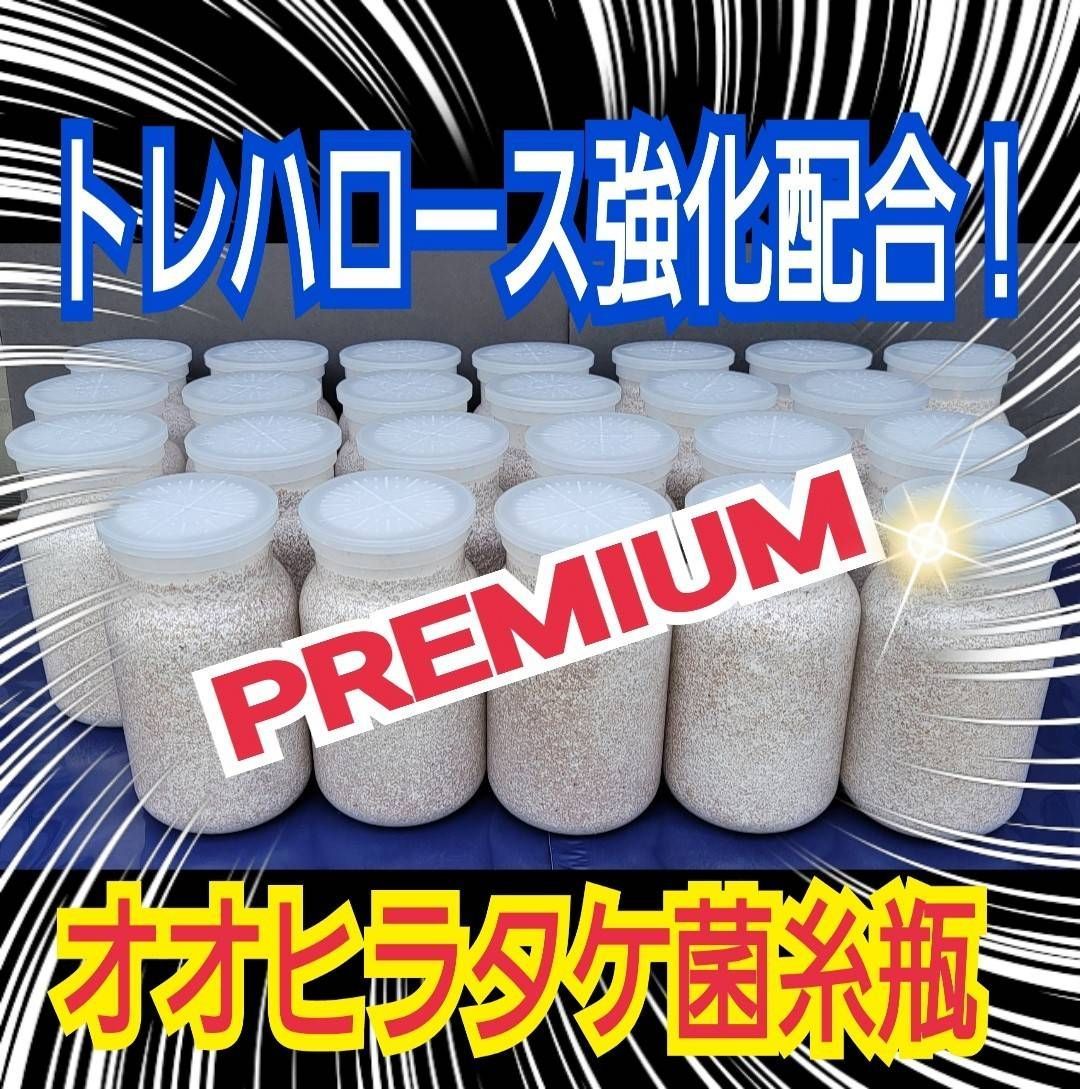極上！オオヒラタケ菌糸瓶【10本】特殊アミノ酸強化！国産オオクワ85ミリ羽化実績