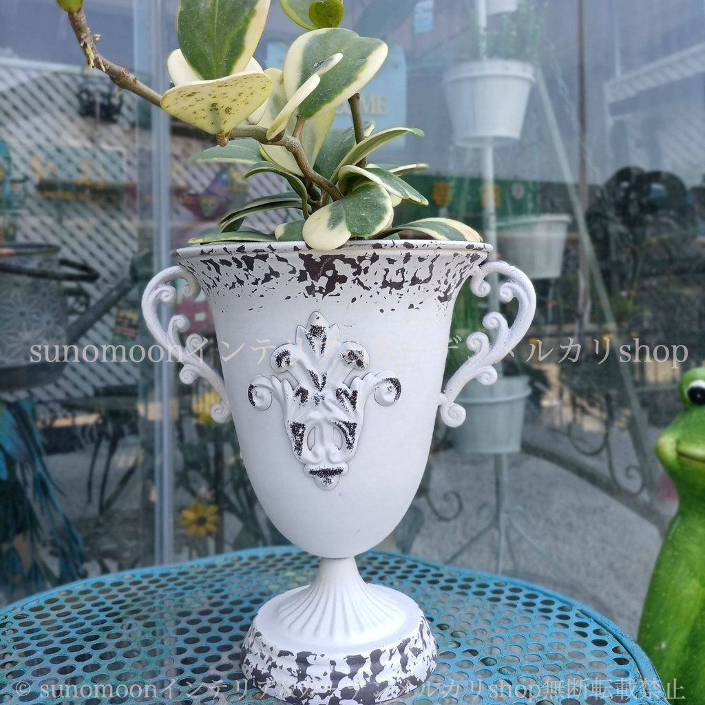 お洒落 エレガント