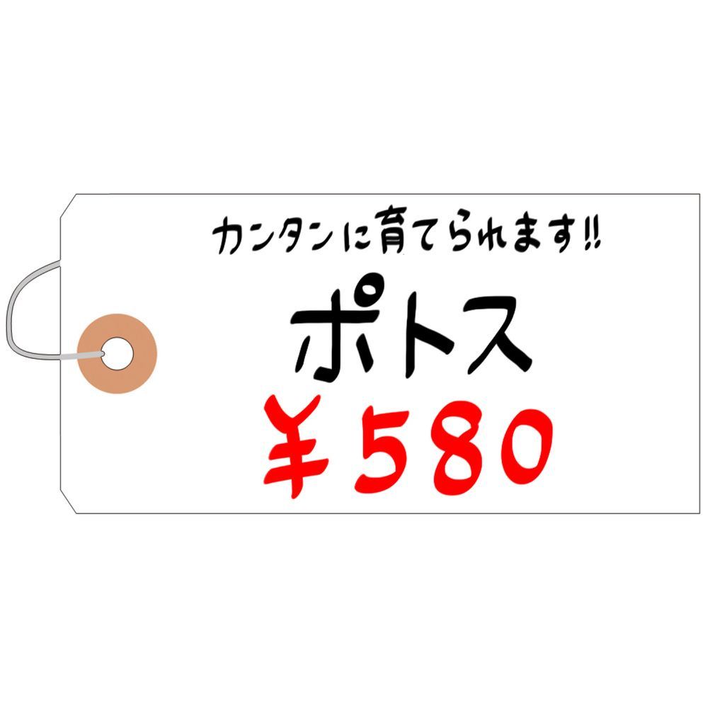 1000枚入
