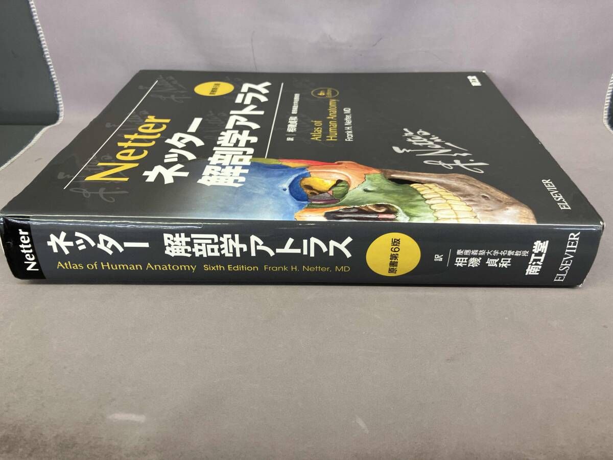 ネッター 解剖学アトラス ネッター解剖学アトラス[電子書籍付](原書第7版)
