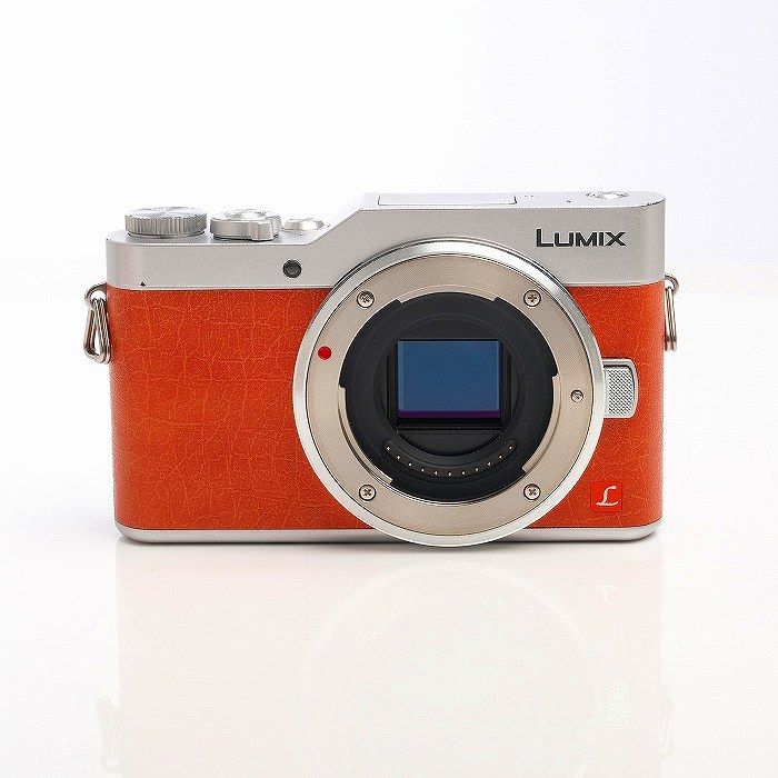 ジャンク品】Panasonic DC-GF9W LUMIX GF9 Panasonic DC-GF9 ミラー