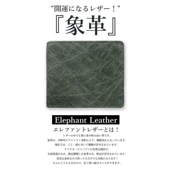 本革
