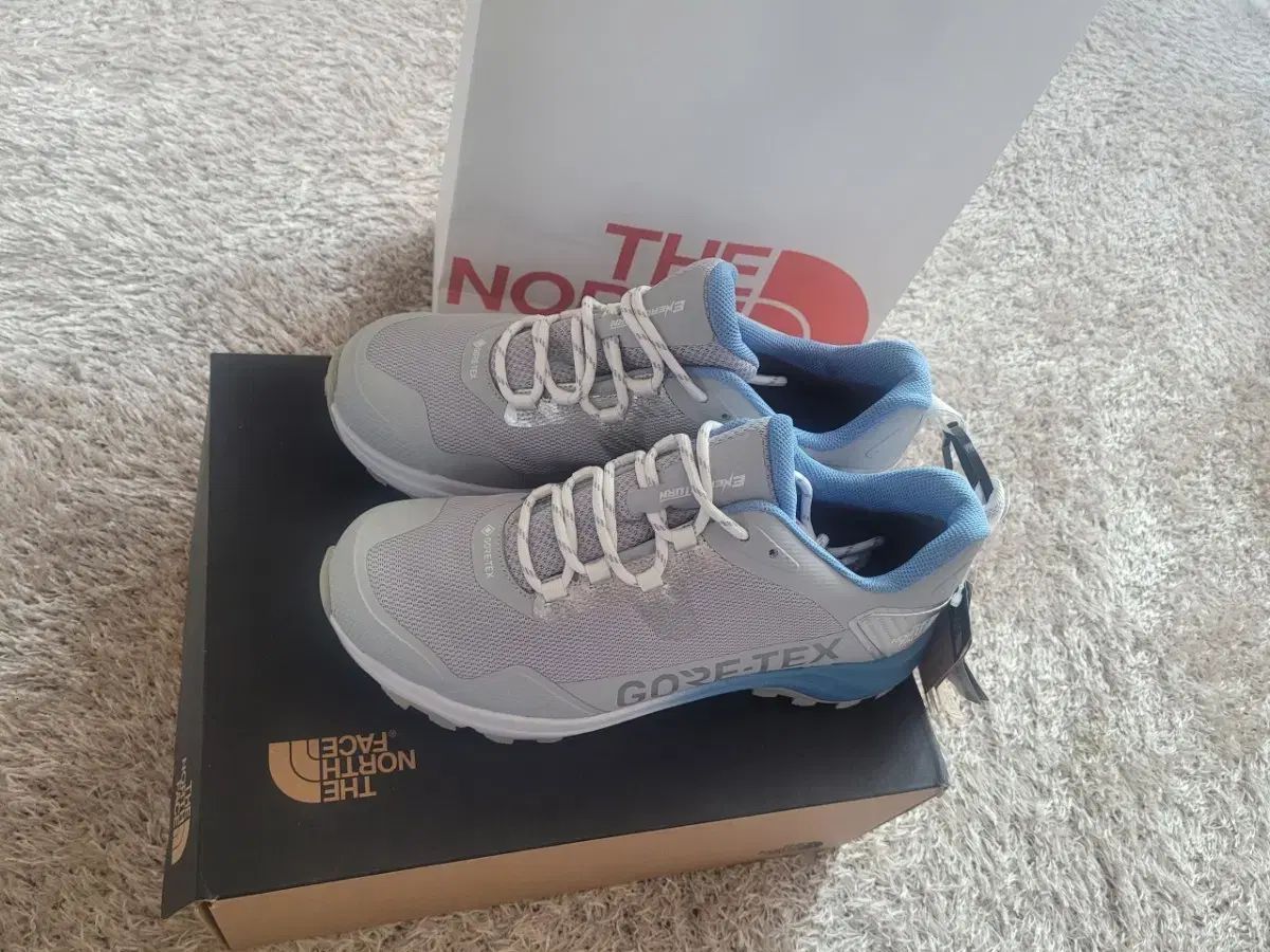 THE NORTH FACE ザノースフェイス GORE-TEX ゴアテックス ハイキングブーツ 280