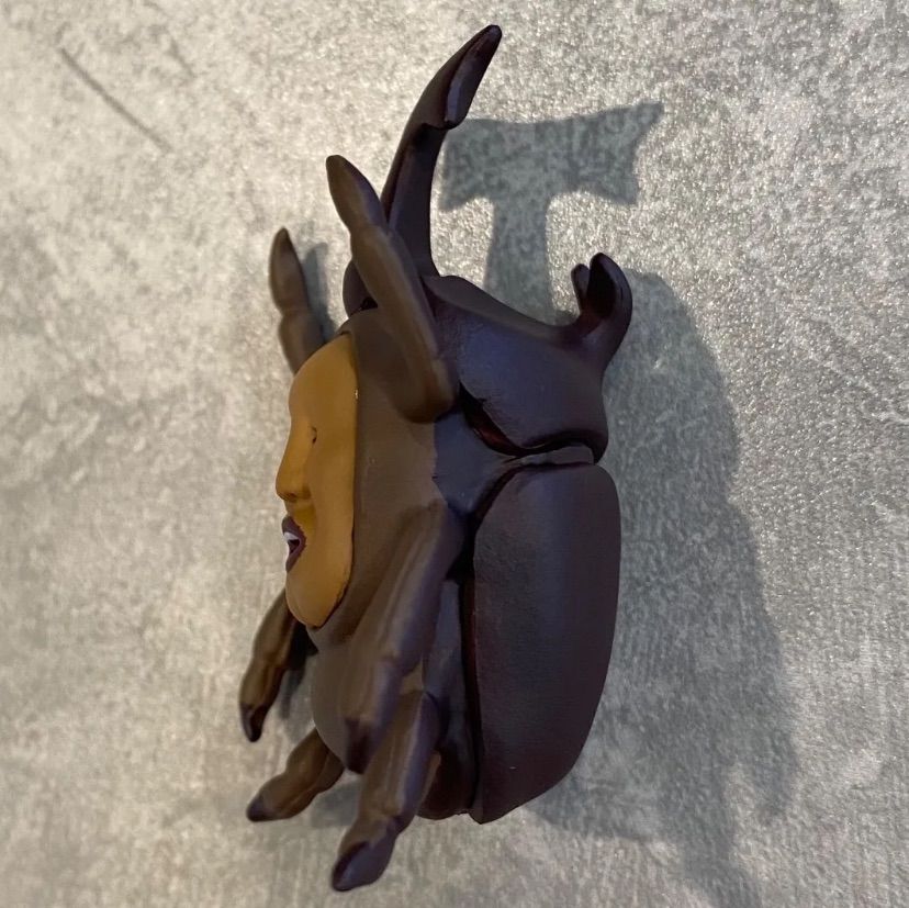 新品未使用】 こびとづかん カブト虫 カブトムシ カブトヨソオイ