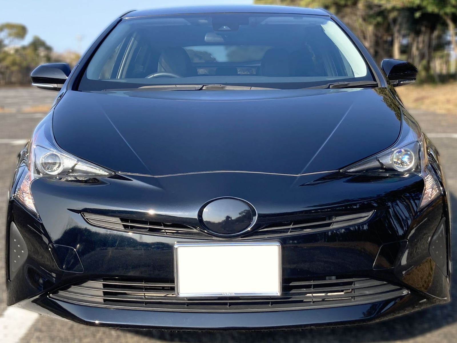 Tint+カット済エンブレム スモークフィルム 50 前期 プリウス