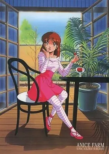 2025年最新】超音戦士ボーグマン アニス・ファームの人気アイテム