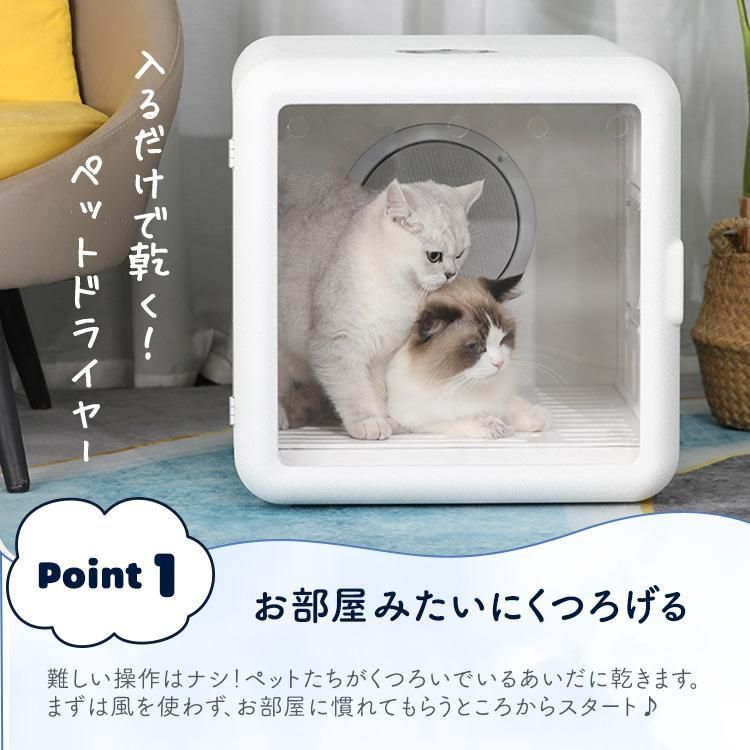 ボックス ルーム