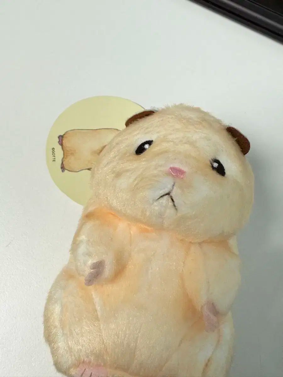 (25-02-071)【PSA10】カメックス25th プロモ PSA10 カメックス25th カメックス 25th プロモ PSA10 カメックス