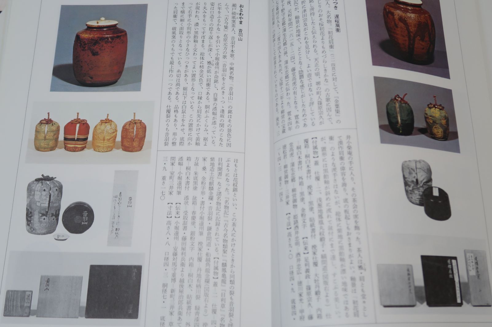 茶道美術鑑賞辞典 茶道美術鑑賞辞典( 池田巌、淡交社、昭55、) / 若江書店 / 古本