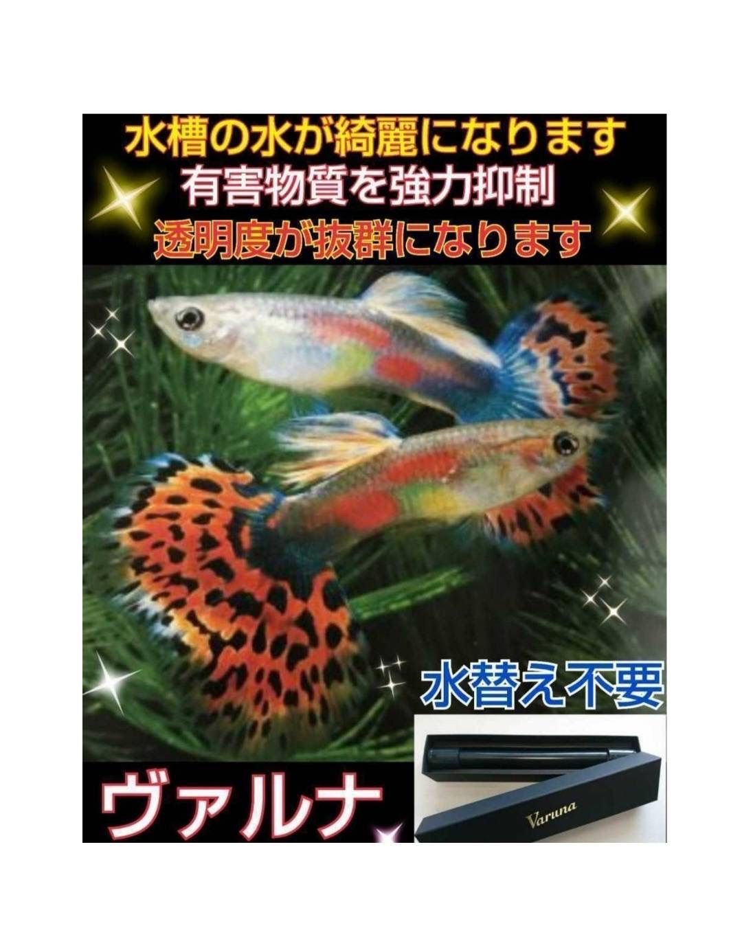 水槽の透明度アップ！有害物質、感染症強力抑制！ヴァルナミニ15センチ