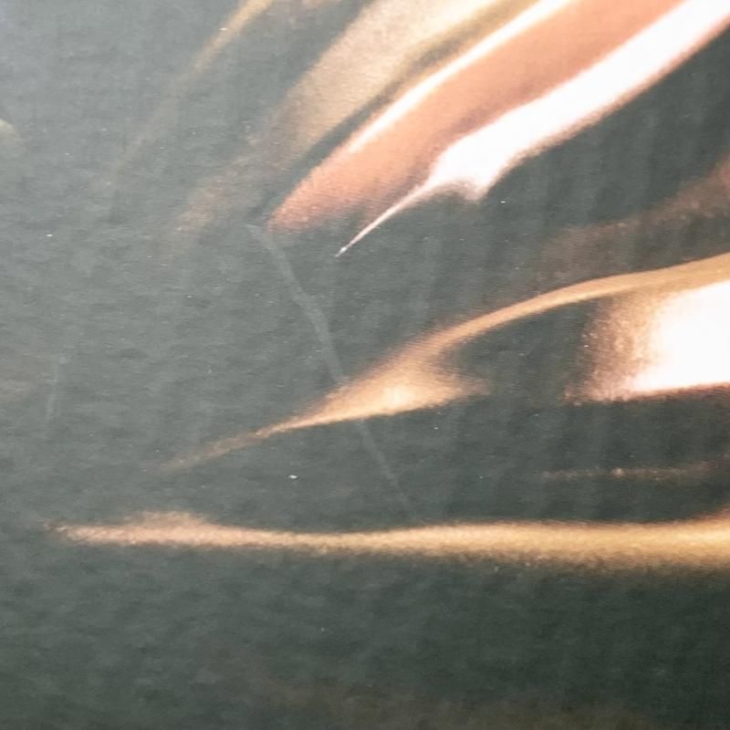 ワンピース P.O.P