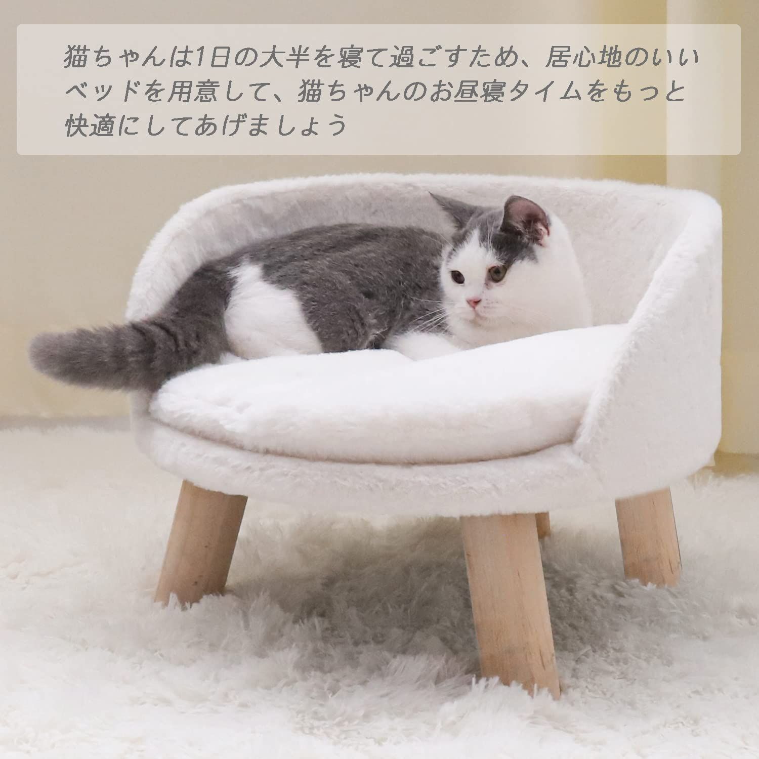 おもしろ