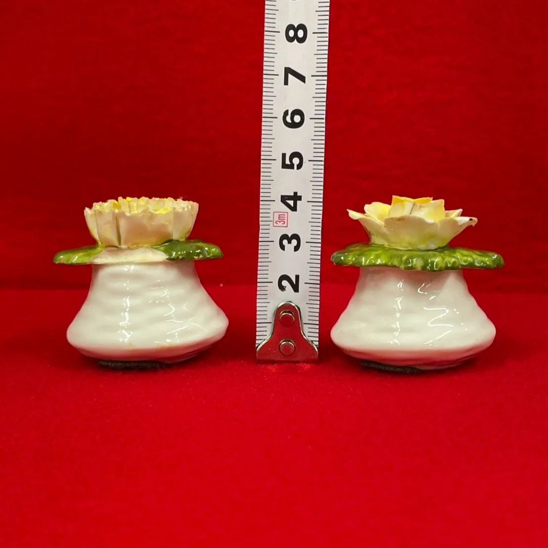 AYNSLEY エインズレイ 陶花 ソルト＆ペッパー 置物 2個セット N-3