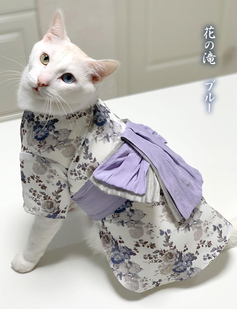 おいぬさま お猫