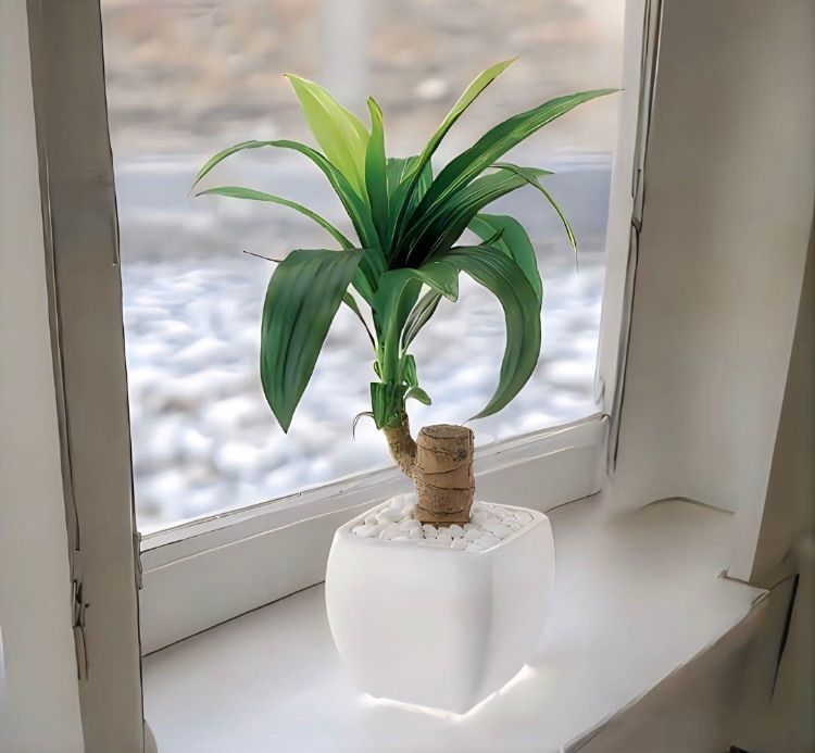 【福袋セール】の商品 光触媒 フェイクグリーン ウォールグリーン 人工観葉植物 フラワー・ガーデニング