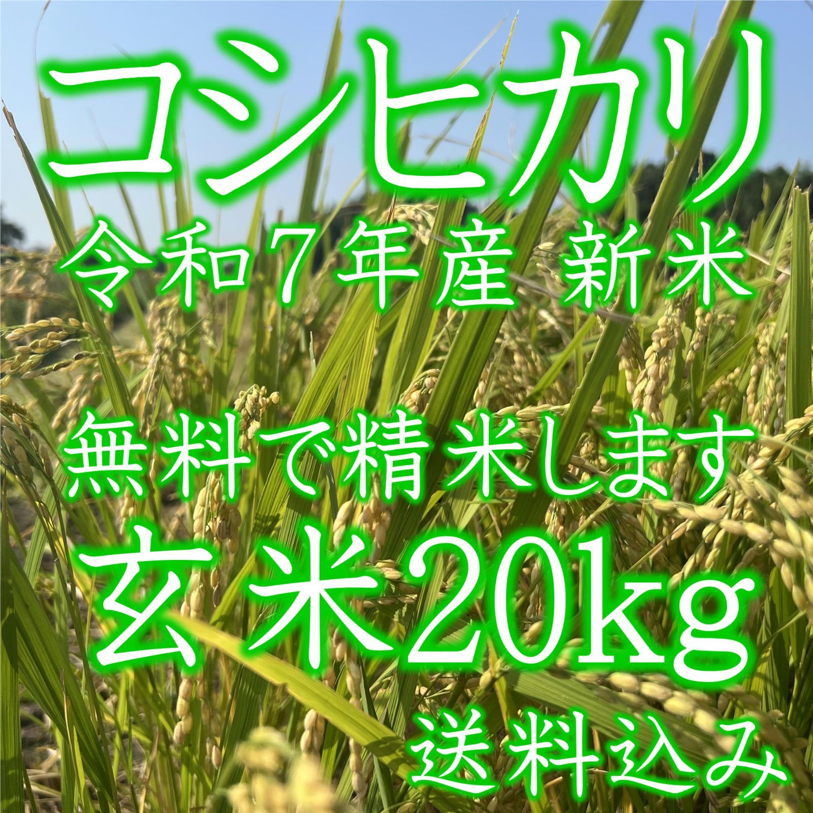 玄米◇20kg令和7年産コシヒカリ玄米20キロ栃木県産 新米 白米 精米