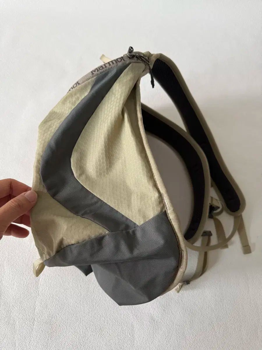 マーモット MARMOT