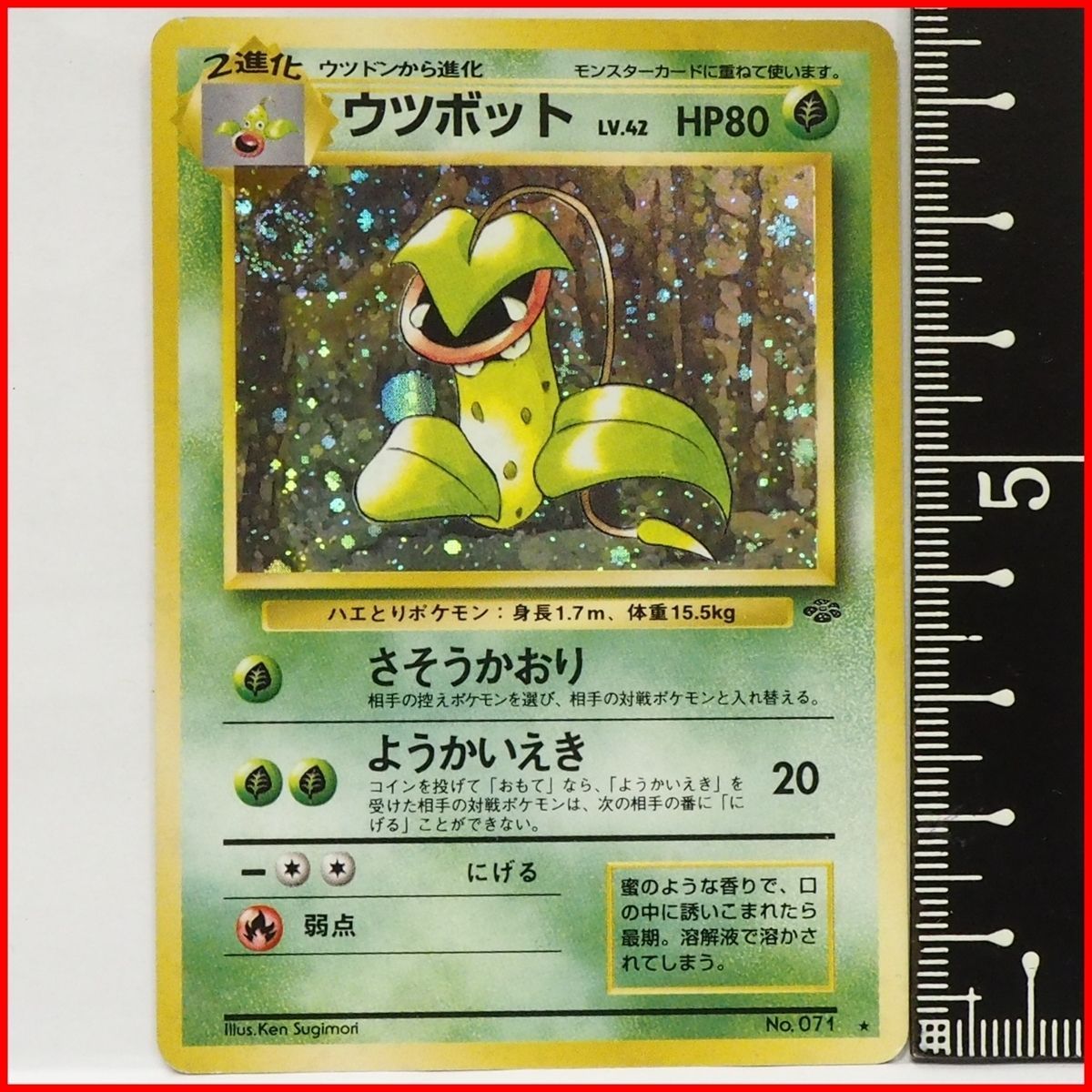 旧裏ポケモン カードゲーム拡張パック第2弾ポケモンジャングル【キラ2
