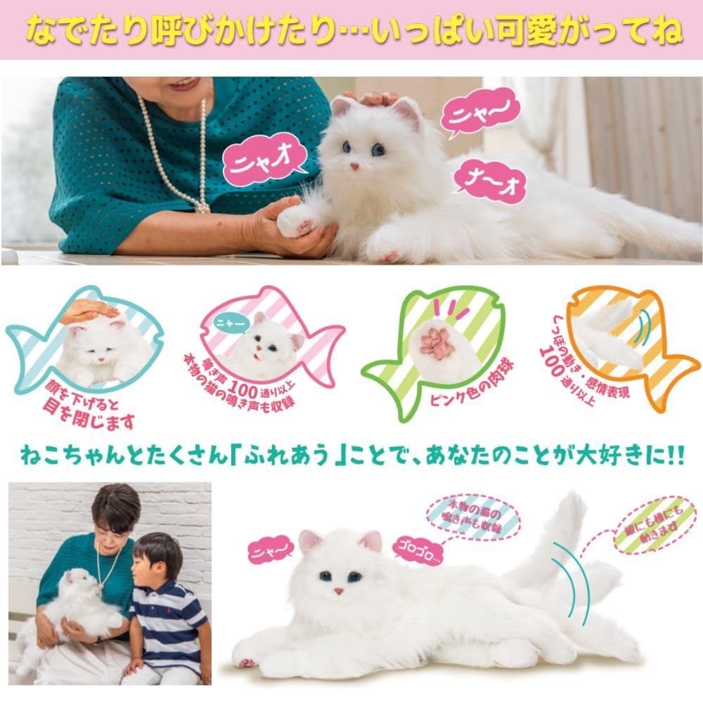 ホワイト
