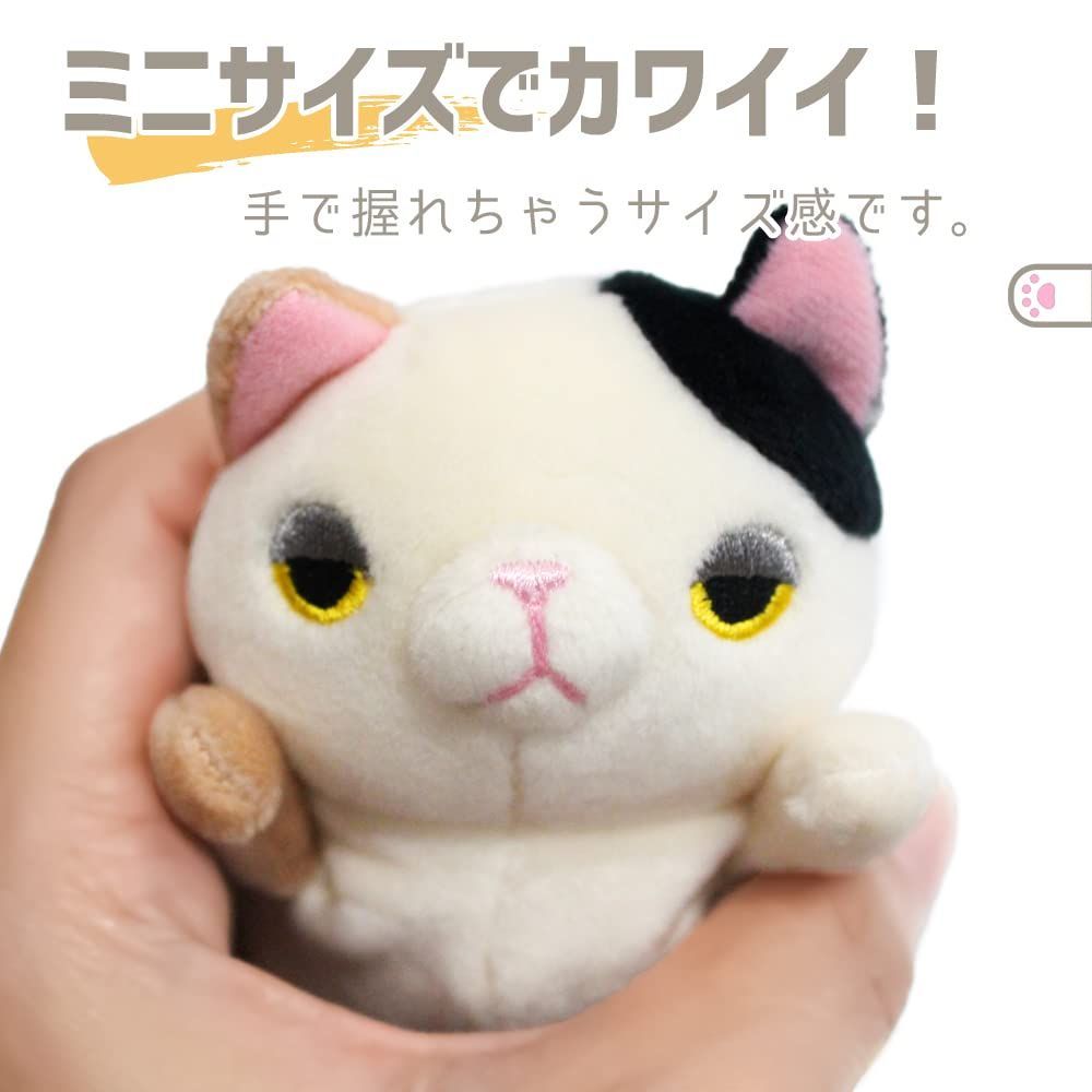 最新号 ねこのきもち 2025年 7月号・8月号 セット 付録 - メルカリ