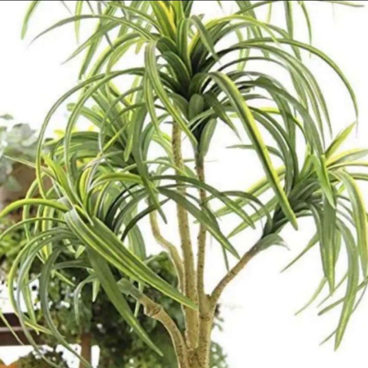 光触媒 人工観葉植物 人工観葉植物 フェイクグリーン ドラセナ