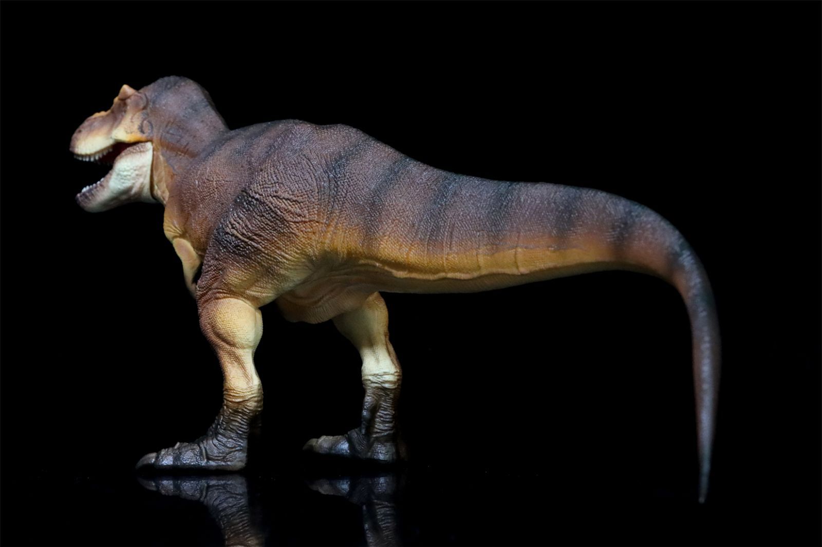 Eofauna 1/35 サイズ ティラノサウルス T-REX 恐竜フィギュア Amazon.com: WLNTDOLA Eofauna 1:35 Scale Tyrannosaurus SUE