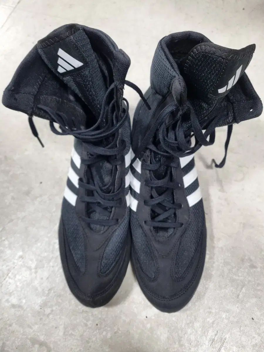 ボクシングポスター 新井田豊 vs ホセ・ルイス・バレラ 後楽園ホール