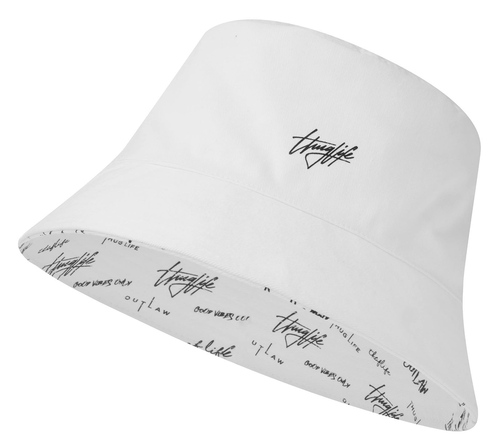 IPA2】アイドル 犬 ボストンテリア キャンバスF6号サイズ BAEZ3