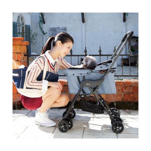 Compet コムペット milimili lite ミリミリライト レイクブルー ペット