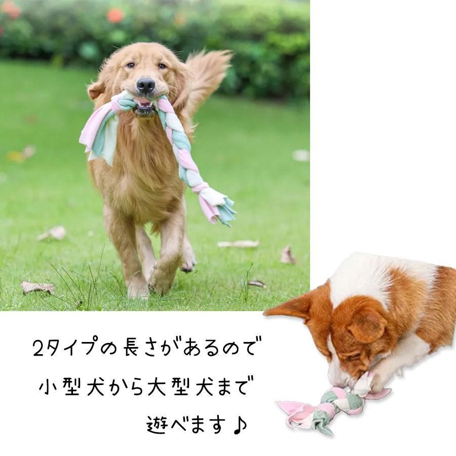 犬 おもちゃ ボール 壊れない ノーズワーク 知育玩具 噛むおもちゃ 犬用 ペット おやつボール 動く 知育 歯磨きボール