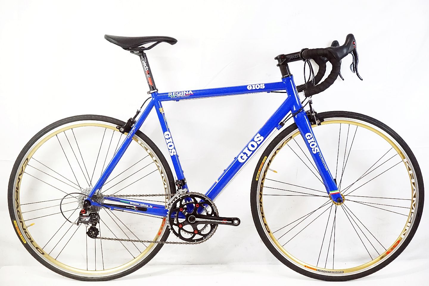 Gios regina 2024