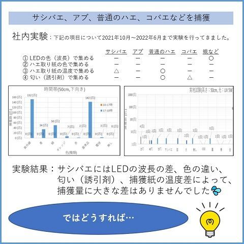 ハエトール