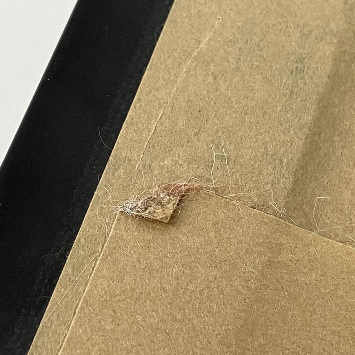  大谷翔平 MVP-ホームラン 2025 フォトフレーム LIMITED EDITION メジャーリーグ 野球 記念グッズ 野球