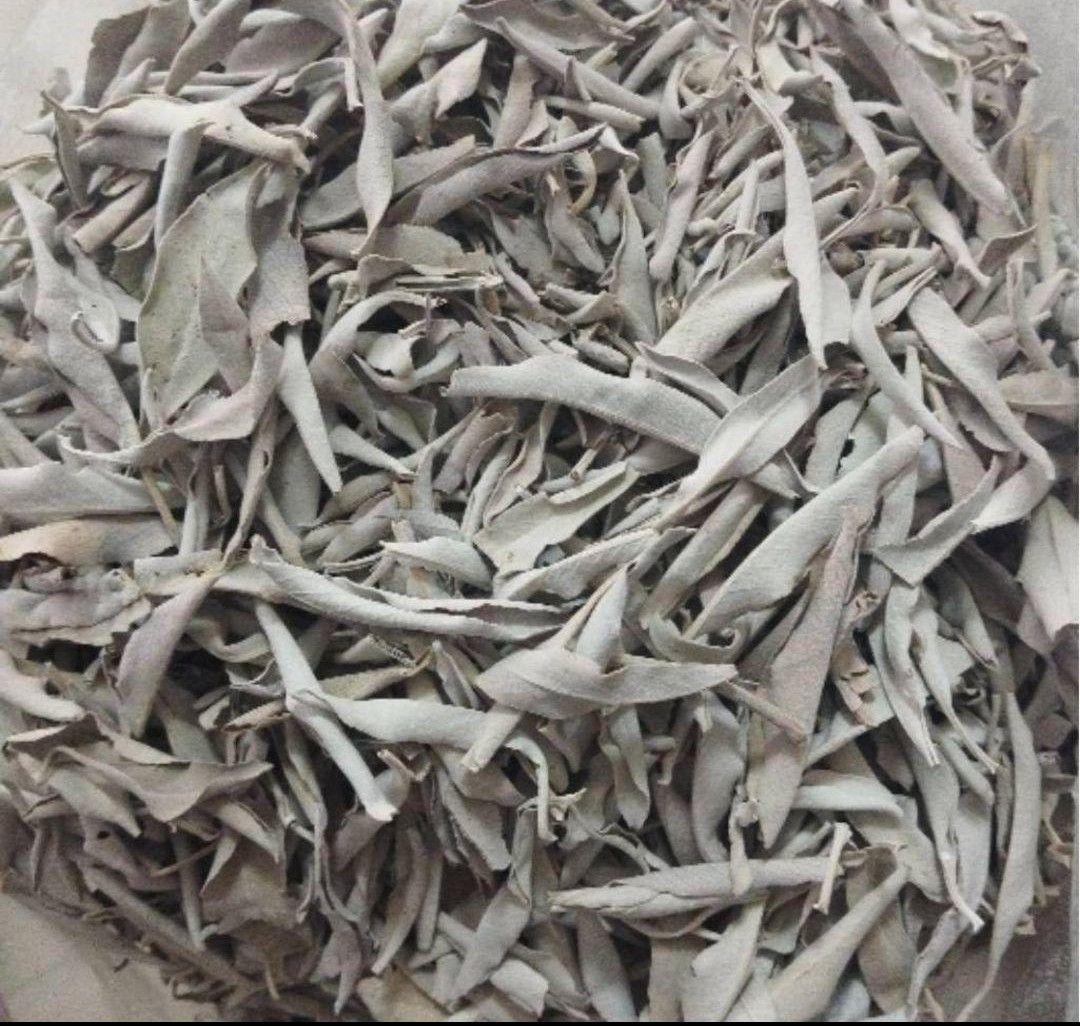 セール☆無農薬ホワイトセージリーフ1kg業務用価額お得