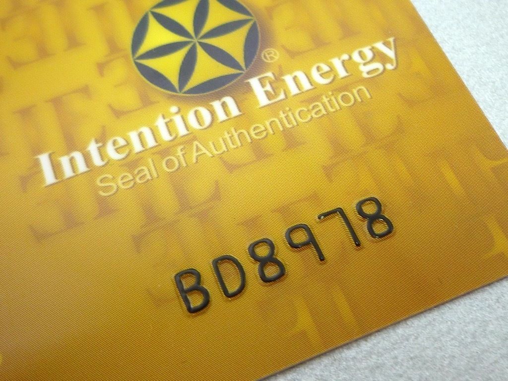 参考49500円 Intention Energy インテンションエナジー