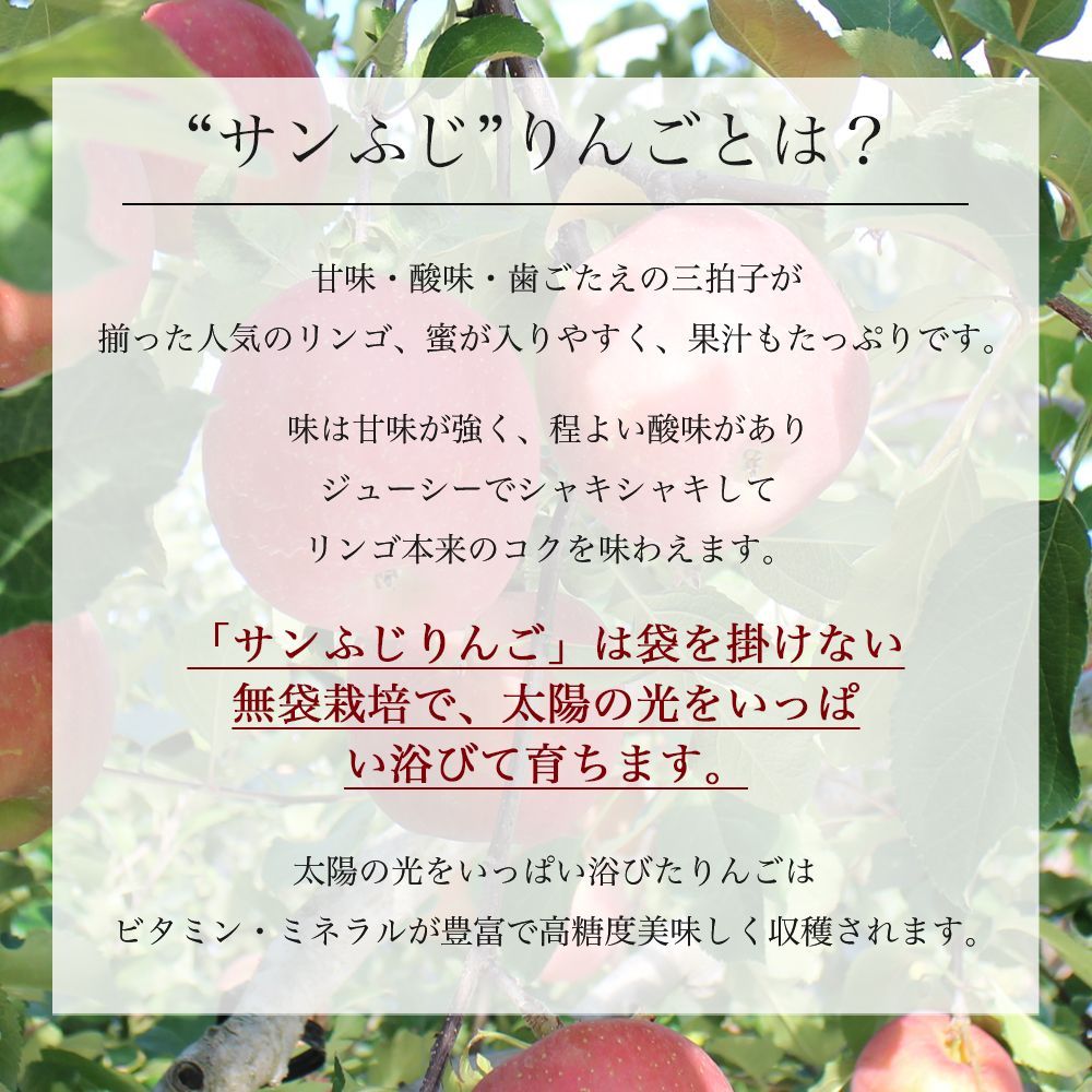 岩手県産 産地直送 サンふじ りんご 約5kg 送料無料 りんご 果物-2