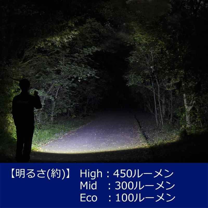 閃シリーズ FLP-2307