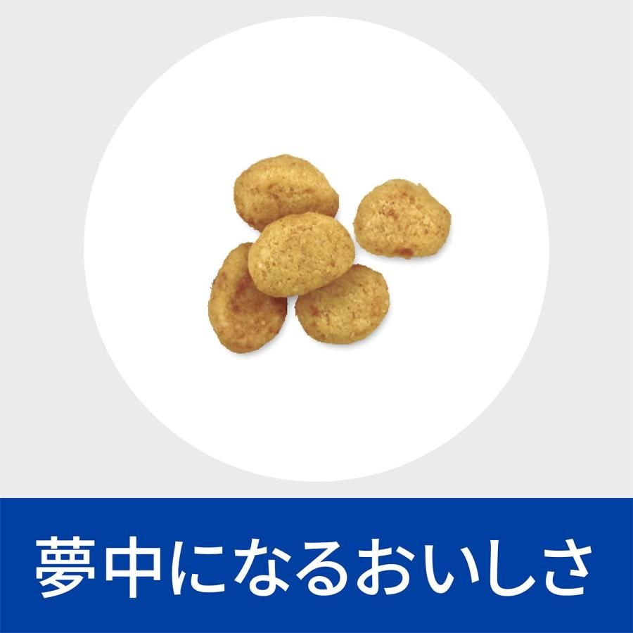 c|d マルチケア