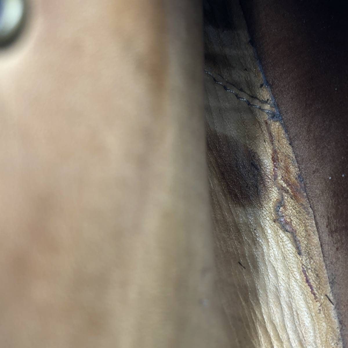 セミブローグ ストレートチップシューズ