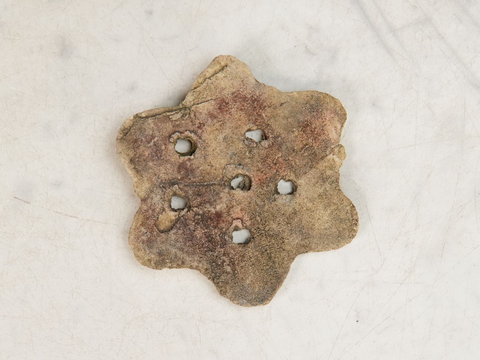 万年青鉢 オモト