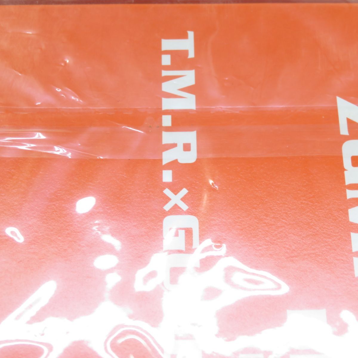 未開封】CD+プラモデル T.M.Revolution X42S-REVOLUTION ハイネ専用 