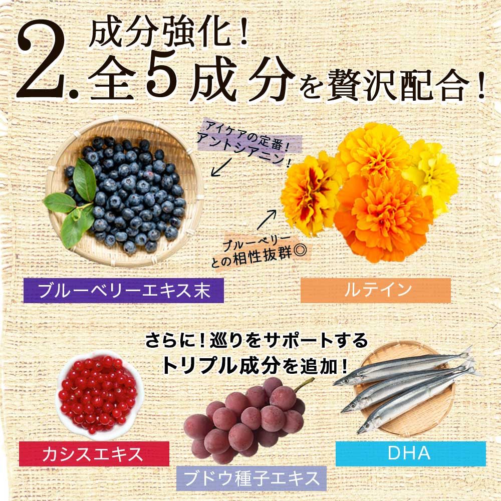 ブルーベリー ルテイン粒 60球 6個 約180日分 賞味期限2026年12月のみ 宅配便 ルテイン ビルベリー ブルーベリー アントシアニン カシス エキス DHA オメガ3 omega3 オメガ3オイル サプリ サプリメント KANDAIZUMI_COM