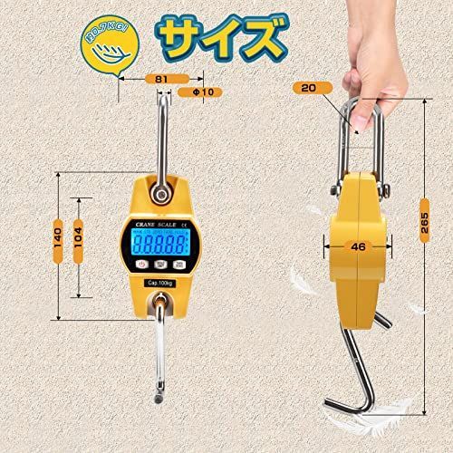 特価商品】Bonvoisin 吊りはかり 300kg クレーンスケール デジタル