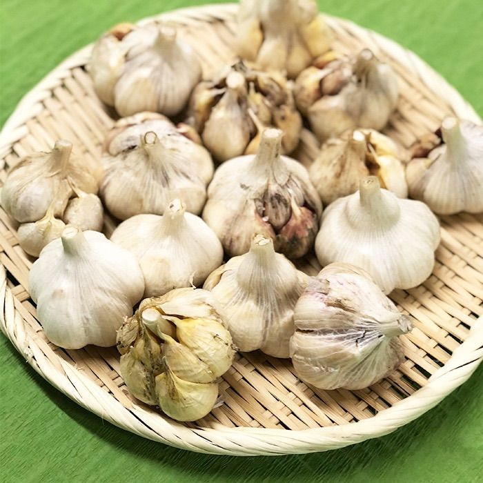 青森県産 にんにく 福地ホワイト六片 2L 10kg - 野菜クラシック