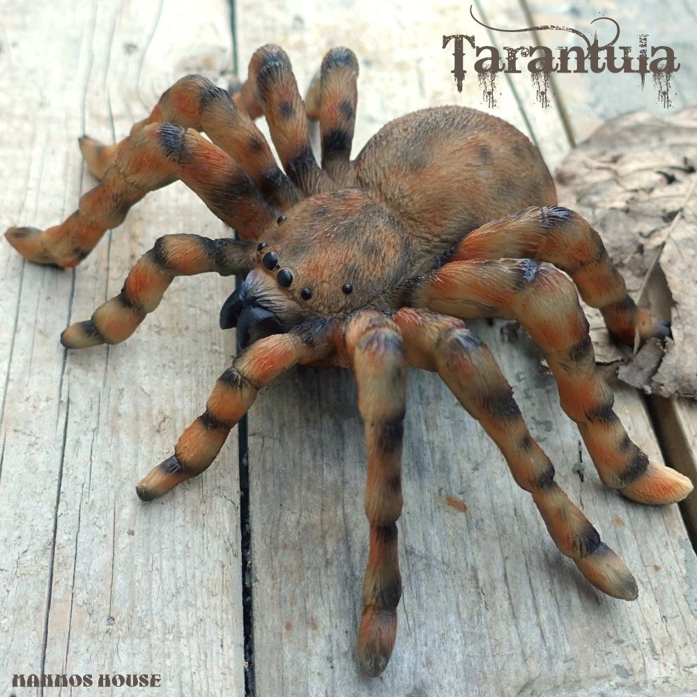 ビッグサイズ タランチュラ 置き物 おしゃれ リアル オブジェ 蜘蛛