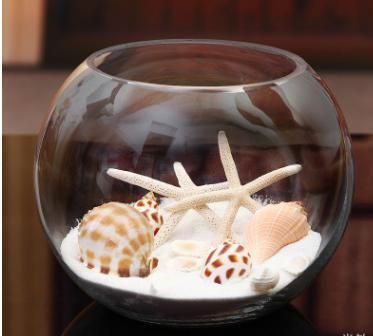 特大 27㎝ 金魚鉢 ガラス製 花瓶 アクアリウム テラリウム 多肉植物 猫