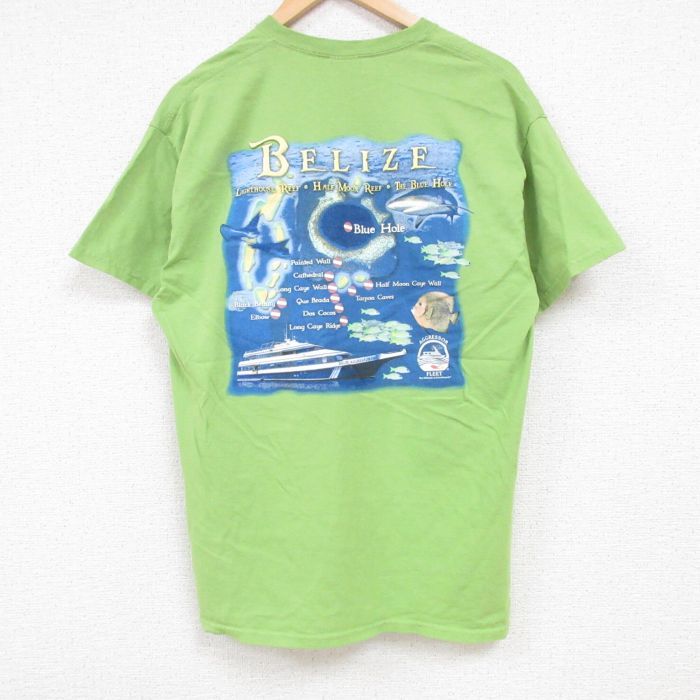L/古着 半袖 Tシャツ メンズ BELIZE 船 サメ コットン クルーネック 緑 グリーン 24jul05 中古